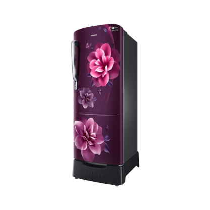 Samsung 223 LTR 3 STAR DIRECT COOL REFRIGERATOR RR24C2823CR/NL CAMELLIA PURPLE
