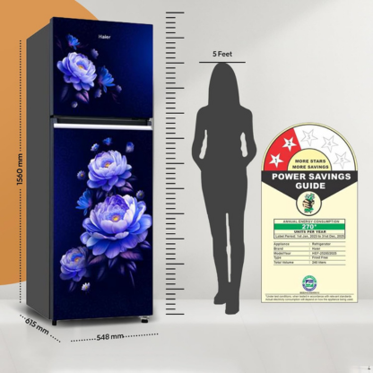 Haier 240 LTR 2 STAR DOUBLE DOOR REFRIGERATOR N/A MARINE BLOSSOM